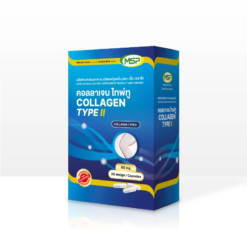 COLLAGEN TYPE II MSP