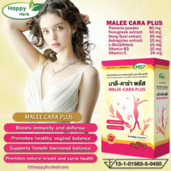 Malee cara MSP