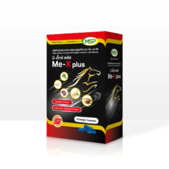 ME-X PLUS GINSENG AND CORDYCEPS SINESIS EXTRACTS