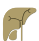 Liver